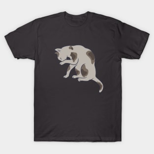 Keep it clean – this is all the cat mean (pose 4) T-Shirt